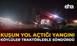 Kuşun Yol Açtığı Yangını Köylüler Traktörle Söndürdü