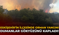 Eskişehir'in İlçesinde Orman Yangını: Dumanlar Gökyüzünü Kapladı!