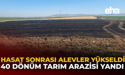 Hasat Sonrası Alevler Yükseldi: 40 Dönüm Tarım Arazisi Yandı