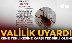 Valilik Uyardı: Kene Tehlikesine Karşı Tedbirli Olun!