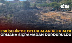 Eskişehir’de Otluk Alan Alev Aldı Ormana Sıçramadan Durduruldu