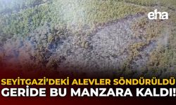 Seyitgazi’deki Alevler Söndürüldü, Geride Bu Manzara Kaldı!