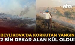 Beylikova'da Korkutan Yangın: 2 Bin Dekar Alan Kül Oldu!
