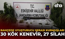 Bahçede Uyuşturucu Serası Kurmuşlar: 30 Kök Kenevir, 27 Silah!