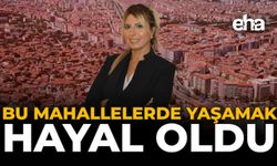 Bu Mahallelerde Yaşamak Hayal Oldu!