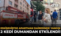 Eskişehir'de Apartman Dairesinde Yangın: 2 Kedi Dumandan Etkilendi!