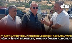 İYİ Parti Afyon Vekili Yangın Bölgesinden Açıklama Yaptı: Ağacın İsmini Bilmezler, Yangına Önlem Alıyorlar