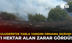 Uludere’de Tarla Yangını Ormana Sıçradı: 1 Hektar Alan Zarar Gördü!