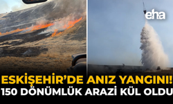 Eskişehir'de Anız Yangını: 150 Dönümlük Arazi Kül Oldu!