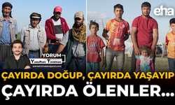 Çayırda Doğup, Çayırda Yaşayıp, Çayırda Ölenler…