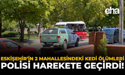 Eskişehir'in 2 Mahallesindeki Kedi Ölümleri, Polisi Harekete Geçirdi!