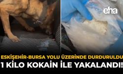 Eskişehir-Bursa Yolu Üzerinde Durduruldu: 1 Kilo Kokain İle Yakalandı!
