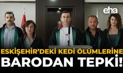 Eskişehir'deki Kedi Ölümlerine Barodan Tepki!