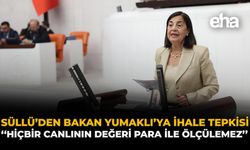 Süllü'den Bakan Yumaklı'ya İhale Tepkisi: "Hiçbir Canlının Değeri Para İle Ölçülemez"