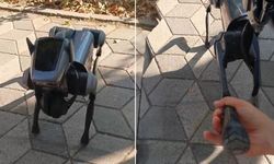 Eskişehir Kent Merkezindeki Robot Köpek, İnsanların Odağı Oldu!