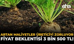 Artan Maliyetler Üreticiyi Zorluyor: Fiyat Beklentisi 3 Bin 500 TL!