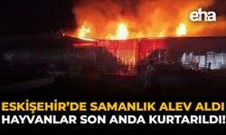 Eskişehir'de Samanlık Alev Aldı: Hayvanlar Son Anda Kurtarıldı!