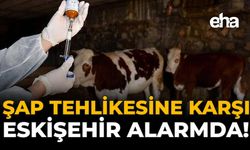 Şap Tehlikesine Karşı Eskişehir’de Alarmda!