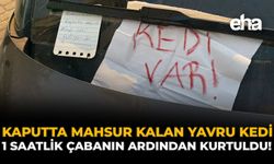 Kaputta Mahsur Kalan Yavru Kedi, 1 Saatlik Çabanın Ardından Kurtuldu!