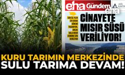 Kuru Tarımın Merkezinde Sulu Tarıma Devam!