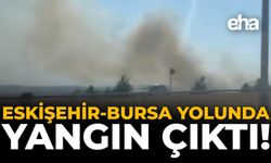Eskişehir-Bursa Yolunda Yangın Çıktı!