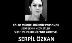 DSİ'den Acı Haber: 52 Yaşındaki Mühendis Hayatını Kaybetti!