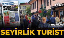 Seyirlik Turist