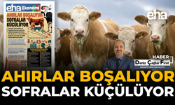Ahırlar Boşalıyor, Sofralar Küçülüyor