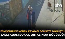 Eskişehir’de Köpek Tartışması Dehşete Dönüştü: Yaşlı Adam Sokak Ortasında Dövüldü!