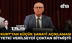 Kurt'tan Küçük Sanayisi Açıklaması: Yetki Verilseydi Çoktan Bitmişti!