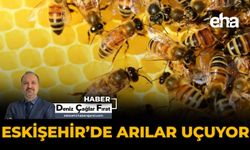 Eskişehir'de Arılar Uçuyor
