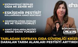 Tarladan Sofraya Gıda Güvenliği Krizi: Daralan Tarım Alanları Pestisiti Artırdı!