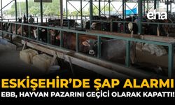 Eskişehir’de Şap Alarmı: EBB, Hayvan Pazarını Geçici Olarak Kapattı!
