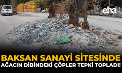 Baksan Sanayi Sitesi'nde Ağacın Dibindeki Çöpler Tepki Topladı!