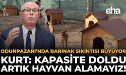 Odunpazarı’nda Barınak Sıkıntısı Büyüyor! Kurt: Kapasite Doldu, Artık Hayvan Alamayız