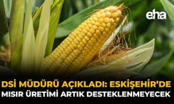 DSİ Müdürü Açıkladı: Eskişehir’de Mısır Üretimi Artık Desteklenmeyecek