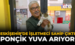 Eskişehir’de İşletmeci Sahip Çıktı, Ponçik Yuva Arıyor