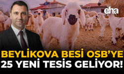 Beylikova Besi OSB’ye 25 Yeni Tesis Geliyor!