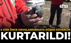 4 Gün Önce Havalandırmaya Düşen Güvercin Kurtarıldı!