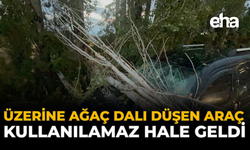 Üzerine ağaç dalı düşen araç kullanılamaz hale geldi