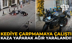 Kediye Çarpmamaya Çalıştı: Kaza Yaparak Ağır Yaralandı!
