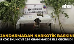 Jandarmadan Narkotik Baskını: 5 Kök Skunk ve 284 Gram Madde Ele Geçirildi!