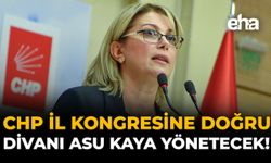 CHP İl Kongresine Doğru: Divanı Asu Kaya Yönetecek!