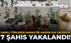 Farklı Türlerde Narkotik Madde Ele Geçirildi: 7 Şahıs Yakalandı!