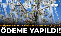 Eskişehir'de 14 İlçede Zirai Dondan Etkilenen Çiftçilere Ödeme Yapıldı!