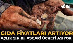 Gıda Fiyatları Artıyor: Açlık Sınırı, Asgari Ücreti Aşıyor!