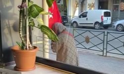 Bayrağı Öpüp Başına Koyan Kadının Görüntüsü Duygulandırdı