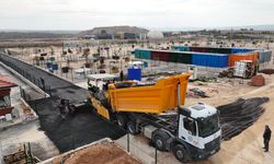 Hayvan Bakımevinde Son Aşamaya Doğru: Yıl Sonunda Açılması Planlanıyor!