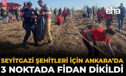 Seyitgazi Şehitleri İçin Ankara’da Üç Noktada Fidan Dikildi