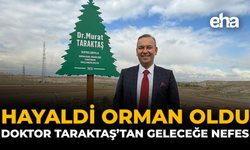 Hayaldi, Orman Oldu: Doktor Taraktaş’tan Geleceğe Nefes
